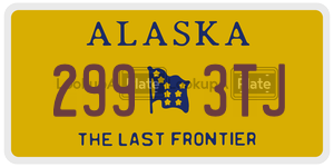 2993TJ  license plate in AK