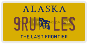 9RULES  license plate in AK