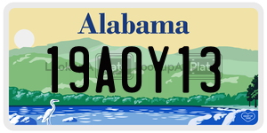 19A0Y13  license plate in AL