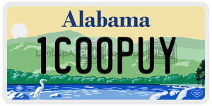 1C00PUY  license plate in AL