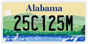 25C125M  license plate in AL