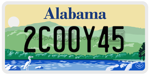 2C00Y45  license plate in AL