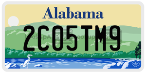 2C05TM9  license plate in AL