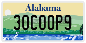 30C00P9  license plate in AL