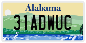 31ADWUC  license plate in AL