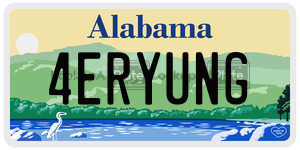 4ERYUNG  license plate in AL
