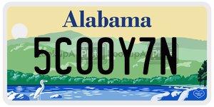 5C00Y7N license plate in Alabama