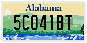 5C041BT  license plate in AL