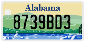 8739BD3 license plate in Alabama