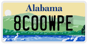 8C00WPE  license plate in AL