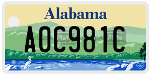 A0C981C  license plate in AL