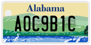 A0C9B1C  license plate in AL