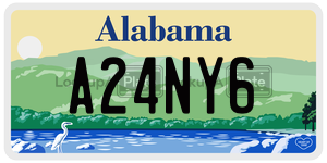 A24NY6  license plate in AL