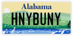 HNYBUNY  license plate in AL