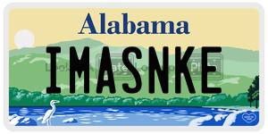 IMASNKE  license plate in AL