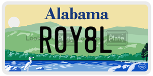 R0Y8L  license plate in AL