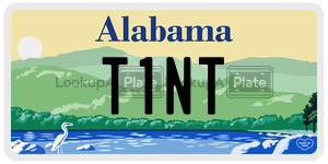 T1NT  license plate in AL