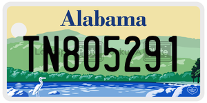 TN805291  license plate in AL