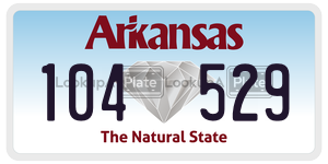 104529  license plate in AR