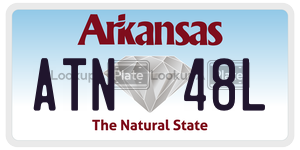 ATN48L  license plate in AR