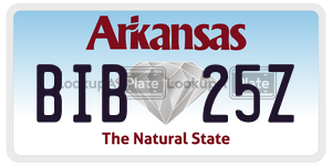 BIB25Z  license plate in AR