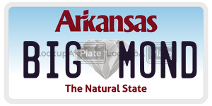BIGMOND  license plate in AR
