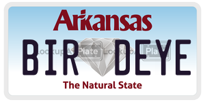 BIRDEYE  license plate in AR