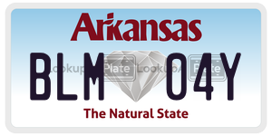 BLM04Y  license plate in AR