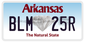 BLM25R  license plate in AR