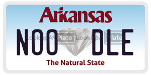 NOODLE  license plate in AR