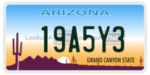 19A5Y3  license plate in AZ