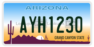 AYH1230  license plate in AZ