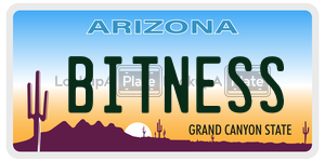 BITNESS license plate in Arizona