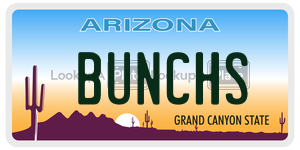BUNCHS license plate in Arizona