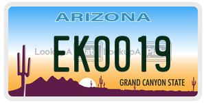 EKO019  license plate in AZ