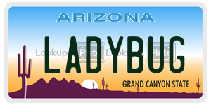 LADYBUG license plate in Arizona