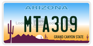 MTA309 license plate in Arizona