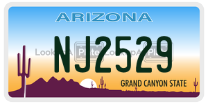 NJ2529 license plate in Arizona
