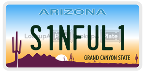 S1NFUL1  license plate in AZ