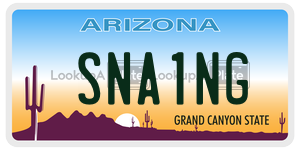 SNA1NG  license plate in AZ