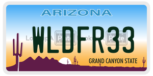 WLDFR33 license plate in Arizona