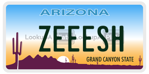 ZEEESH license plate in Arizona