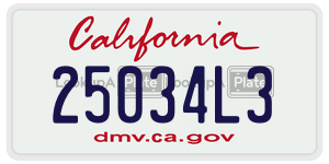 25034L3 license plate in California
