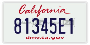 81345E1 license plate in California