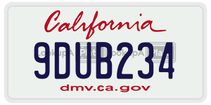 9DUB234 license plate in California