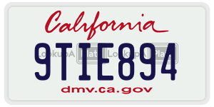 9TIE894  license plate in CA