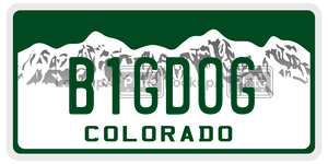 B1GDOG license plate in Colorado