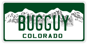 BUGGUY  license plate in CO