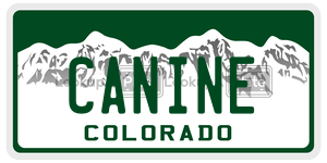 CANINE  license plate in CO