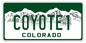COYOTE1  license plate in CO
